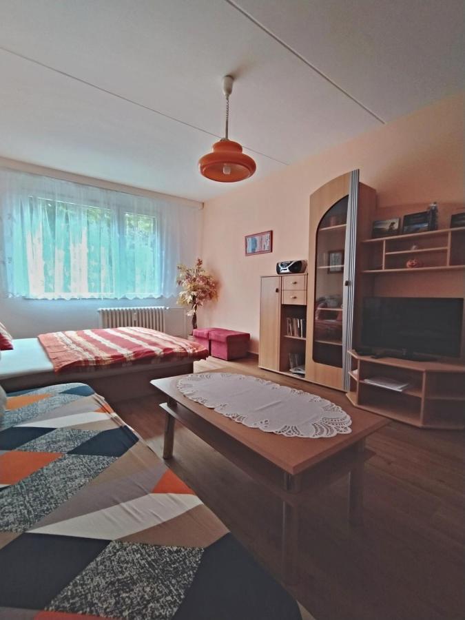 Apartmán v Srní Exteriér fotografie